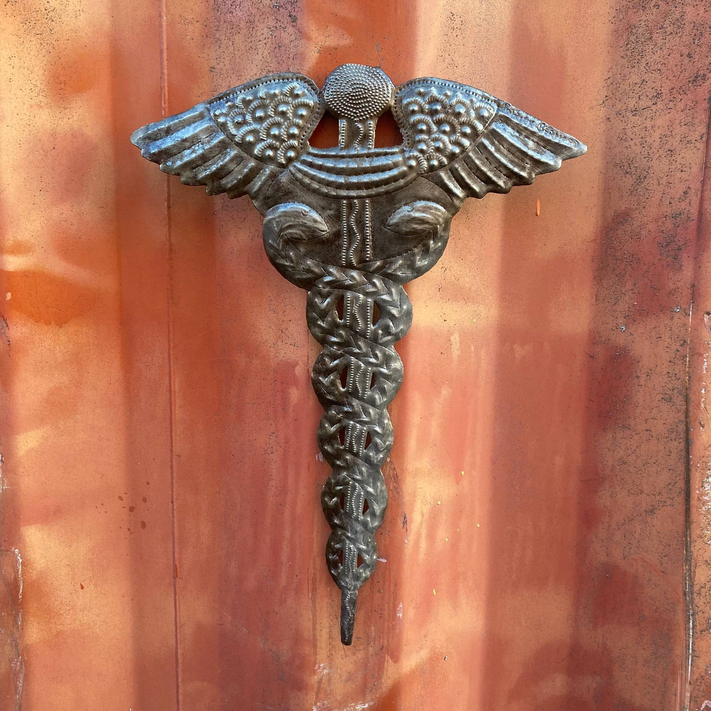 Medical Staff Wall Plaque, Caduceus, Physician 12" x 16"